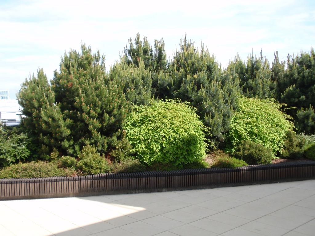 Budova ALPHA, BB Centrum, Praha 4 – fotografia 15